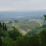 Montespertoli olympus digital camera